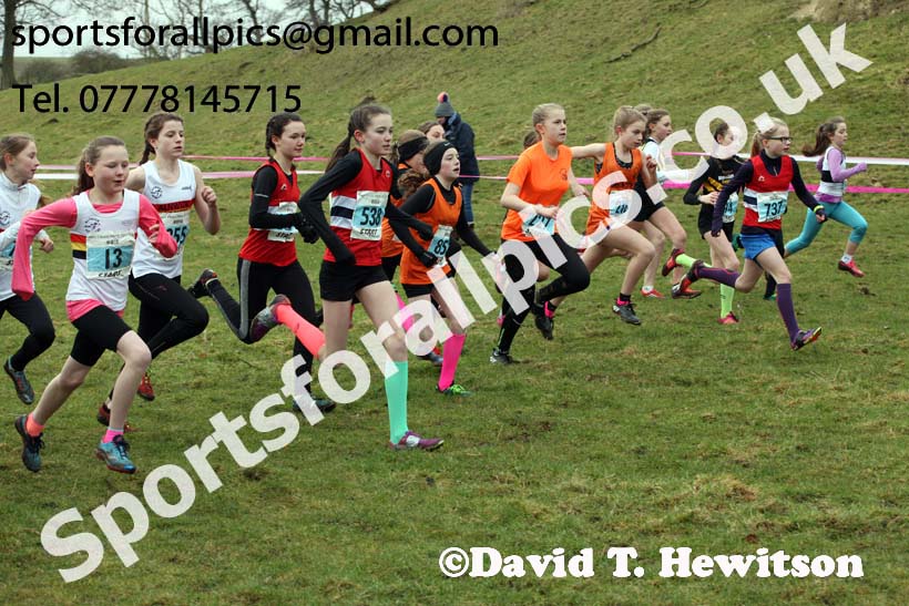 Girls under-13s, Start Fitness NEHL, Thornley Hill Farm, Peterlee, County Durham. Photo: David T. Hewitson/Sports for All Pics